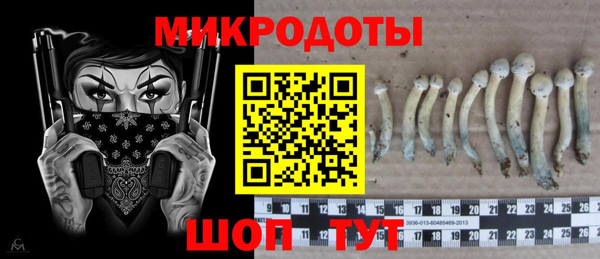 Галлюциногенные грибы MAGIC MUSHROOMS Гусиноозёрск